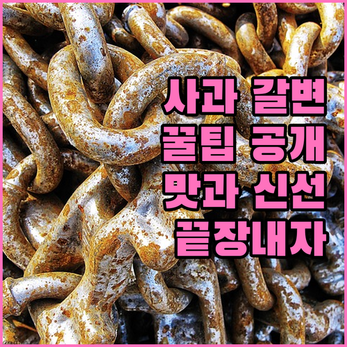 사과 갈변, 꿀 하나로 해결! 맛과 신선도 모두 잡아봐