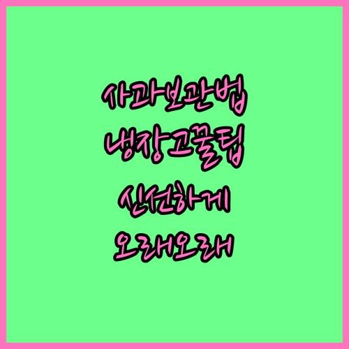 사과 신선 보관법: 냉장고 활용 꿀팁 공개!
