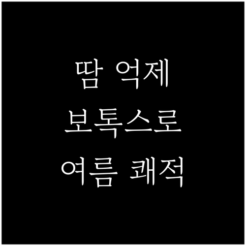 보톡스로 땀 억제, 쾌적한 여름을 위한 선택