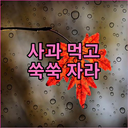 면역력 UP! 아이 성장 발달 돕는 사과의 효능과 섭취 꿀팁
