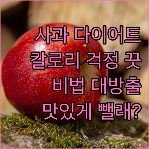 칼로리 걱정 없이 즐기는 사과 다이어트 비법