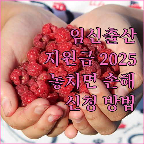 2025 건강보험 임신출산 지원금: 놓치면 손해! 지원 대상, 금액, 신청법