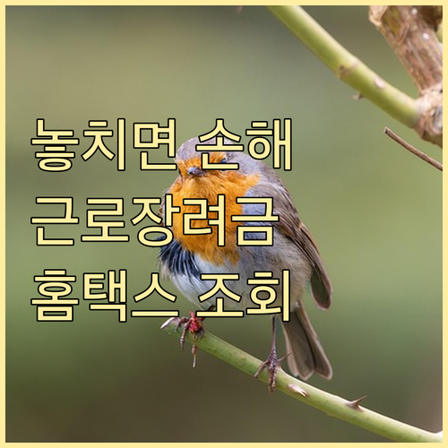 놓치면 손해! 근로장려금 신청 자격과 홈택스 조회 방법 완벽 분석