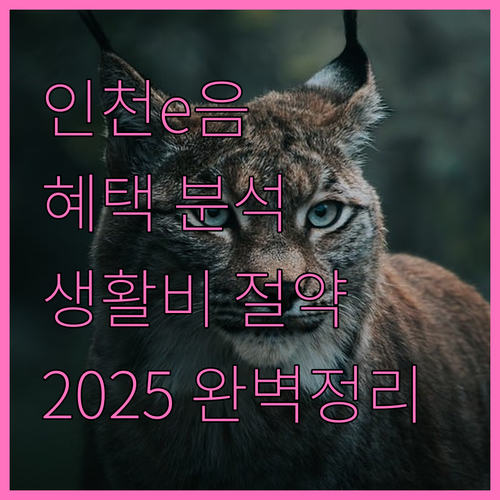 2025 인천e음: 캐시백, 부가 서비스로 생활이 풍요롭게