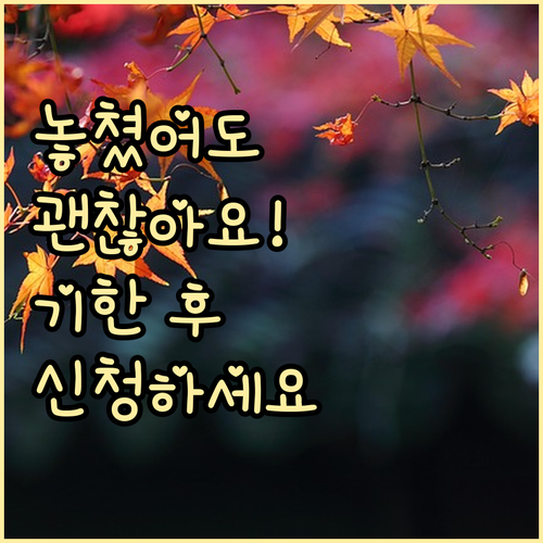 근로장려금, 신청 기간 놓쳤어도 괜찮아요! 기한 후 신청으로 혜택받는 방법