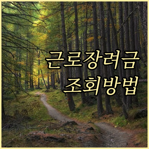 근로장려금 지급 여부, 홈택스에서 빠르고 정확하게 확인하는 방법