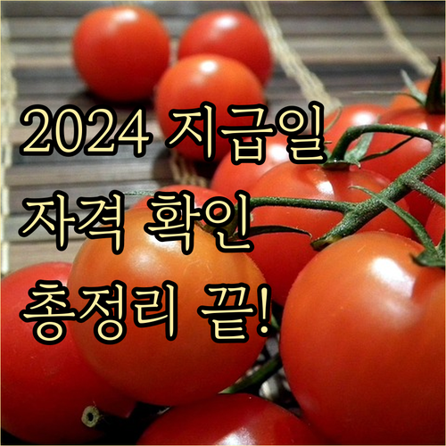 근로장려금 2024 지급일 총정리: 신청 자격부터 지급 확인까지