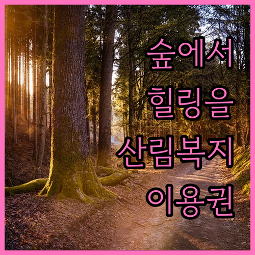 숲에서 찾는 힐링, 2025년 산림복지서비스이용권: 신청 자격 및 이용 방법 상세 안내