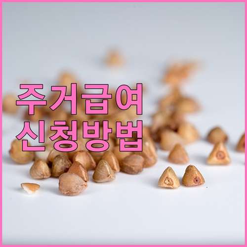 2025년 저소득층 주거 안정, 주거급여 지원 자격 및 신청 방법