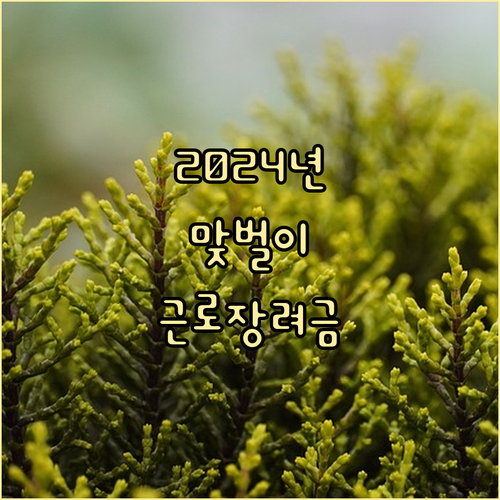 2024년 맞벌이 부부 근로장려금: 소득 및 재산 조건 상세 분석