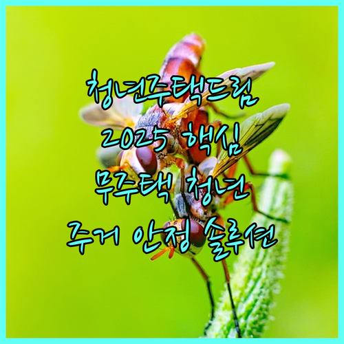 2025 청년주택드림 청약통장: 무주택 청년의 주거 안정을 위한 솔루션
