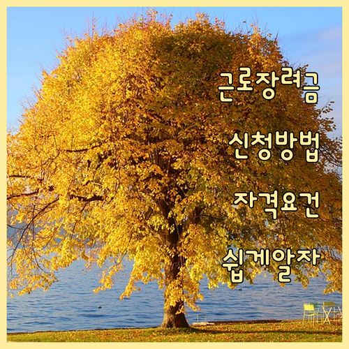 근로장려금 신청, 이것만 알면 끝! 자격, 서류, 유의사항 완벽 정리