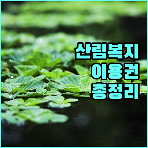 2025년 산림복지이용권: 지원 대상, 사용처, 신청 절차 상세 안내