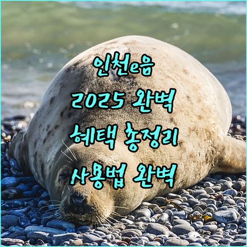 2025 인천e음 완벽 가이드: 풍성한 혜택과 간편한 사용법