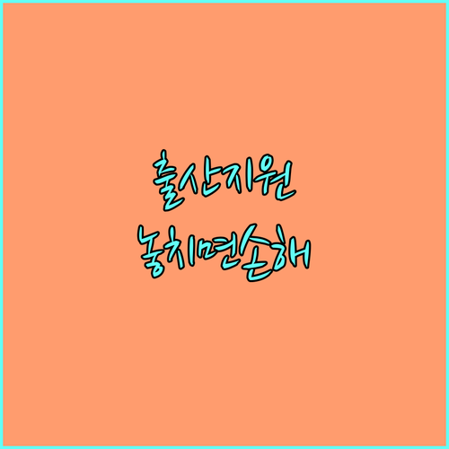 2025 행복출산: 몰라서 놓치는 정부 지원금 완벽 가이드