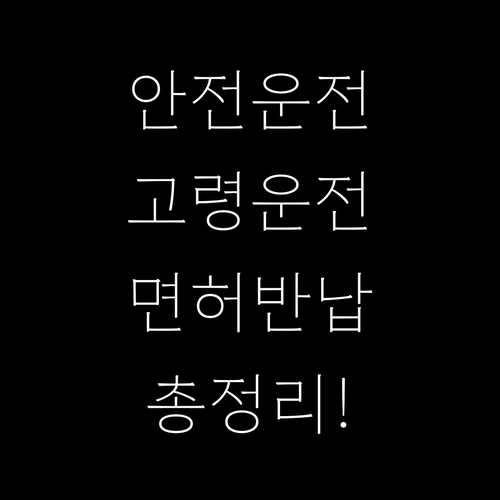 안전 운전 캠페인: 고령 운전자 면허 반납의 모든 것