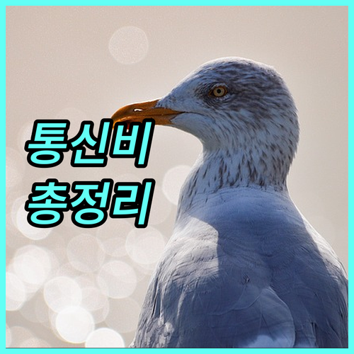 2025년 취약계층 통신비 감면 총정리 대상, 혜택, 신청 방법 완벽 가이드