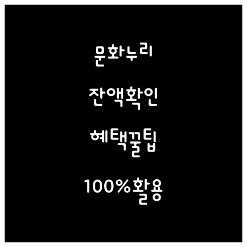 문화누리카드 활용 백서: 잔액 확인하고 문화 혜택 100% 누리기