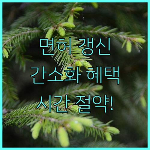 2025년 운전면허 적성검사, 간소화 혜택으로 시간 절약하는 방법