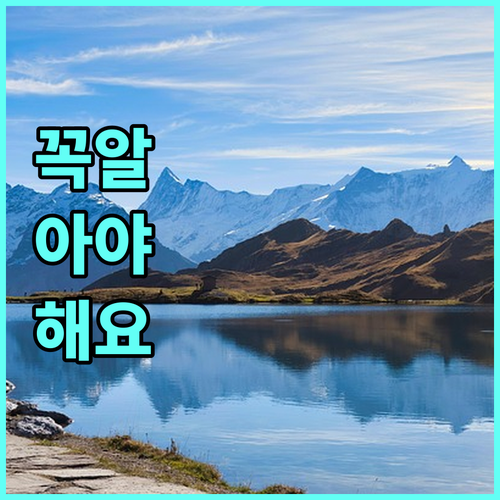 2025 경남패스 완벽 가이드: 지원 자격, 환급액, 신청 방법 총정리