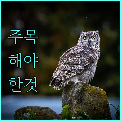 2025 부산 강서구 교육비 지원: 초중고 입학 및 학습지원비 총정리