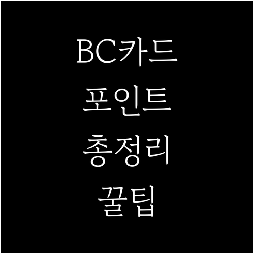 BC카드 포인트 완벽 분석: 종류, 조회부터 활용 꿀팁까지