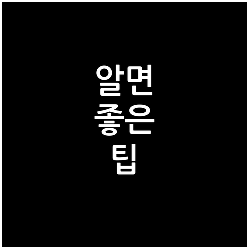 대전 신상동 쓰레기 배출, 일반부터 대형까지 완벽 정리