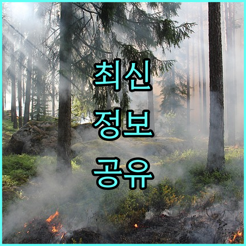 2025년 저소득층을 위한 의료비 지원 정책 의료급여 1종 외래 진료비 면제 파헤치기