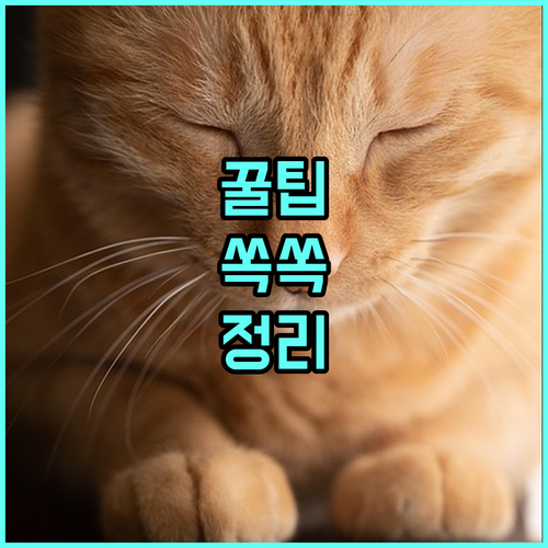 2025 귀농 자금 지원: 농업 창업 3억, 주택 구입 7500만원 혜택