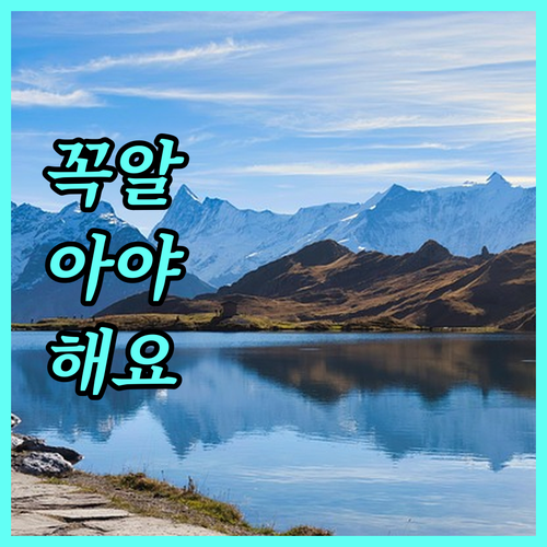 위기청소년 지원, 2025년 달라지는 점은? 자격 조건 및 신청 방법
