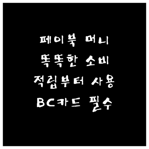 BC카드 페이북 머니: 적립부터 사용까지, 스마트한 소비의 시작