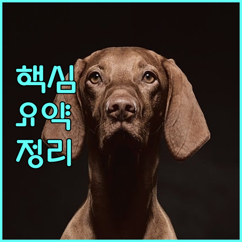 2025년 장애인 의료비 지원 정책: 지원 대상과 혜택, 신청 방법 완벽 가이드