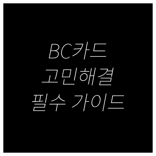 BC카드 실적 고민 해결! 무조건 카드 선택 가이드