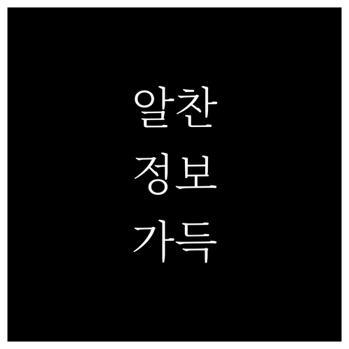 대전 중구 오류동 쓰레기 배출, 궁금증 모두 해결!