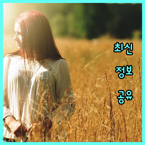 2025 서울 청년 이사비 혜택 지금 확인하세요
