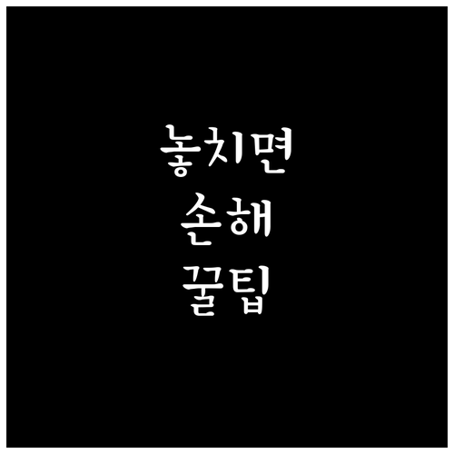 이의신청 사유 오류 해결? 정확한 정정 방법