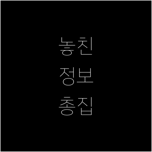 대전 부사동 쓰레기 분리배출 요일 시간 정확히 아는 법
