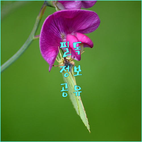 빚의 굴레 해방 2025 국민행복기금 소액대출 대환대부 모든 정보