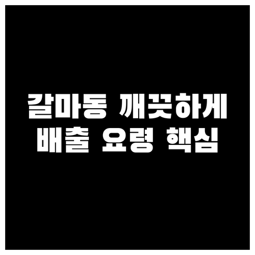 갈마동 깨끗하게! 쓰레기 배출 요령 핵심만 모아 정리