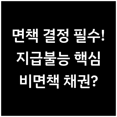 개인 파산 면책 결정의 전제 조건 지급불능과 비면책 채권