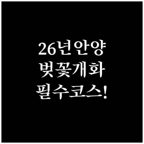 2026년 봄 안양 벚꽃 개화 시기 및 추천 산책 코스