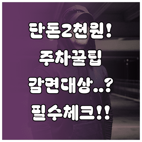 대구 라이온즈 파크 주차비 2천 원 결제 및 감면 대상