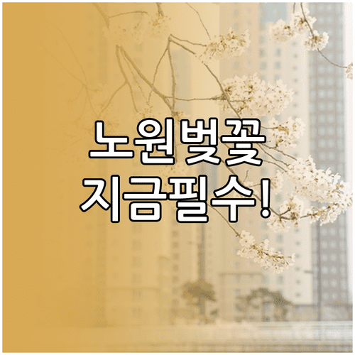 노원구 벚꽃 만개 시기 및 당현천 불암산 나비정원 방문 정보