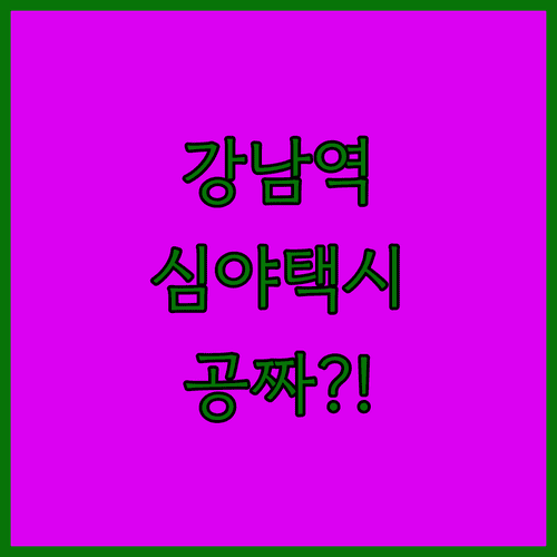 강남역 일대 심야 자율주행 택시 요금과 운행 구간 정리