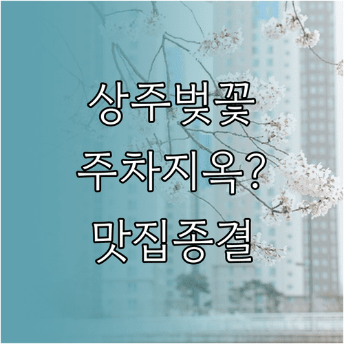 2026 상주 벚꽃 축제 장소와 주차장 맛집 이용 방법