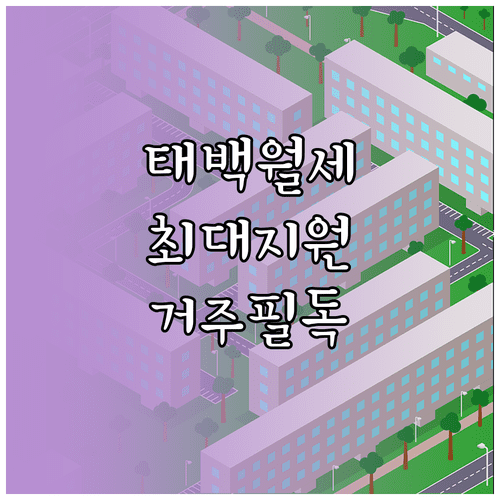 2026년 태백시 청년 월세 지원금 지급일과 거주 요건 상세 정보