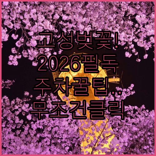 2026년 강원 고성 벚꽃 축제 기간 장소 주차장 이용 방법