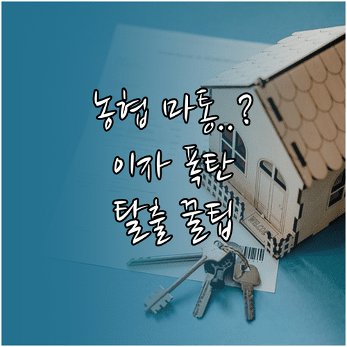 NH농협은행 마이너스통장 관리법과 이자 계산 방식 이해하기