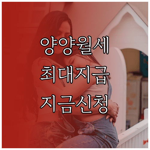 2026년 양양군 청년 월세 지원금 신청 기간 및 지급 규모