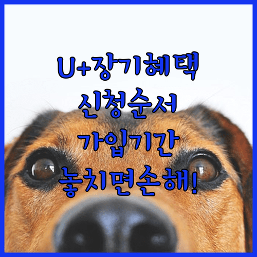 image 1b76ea96
